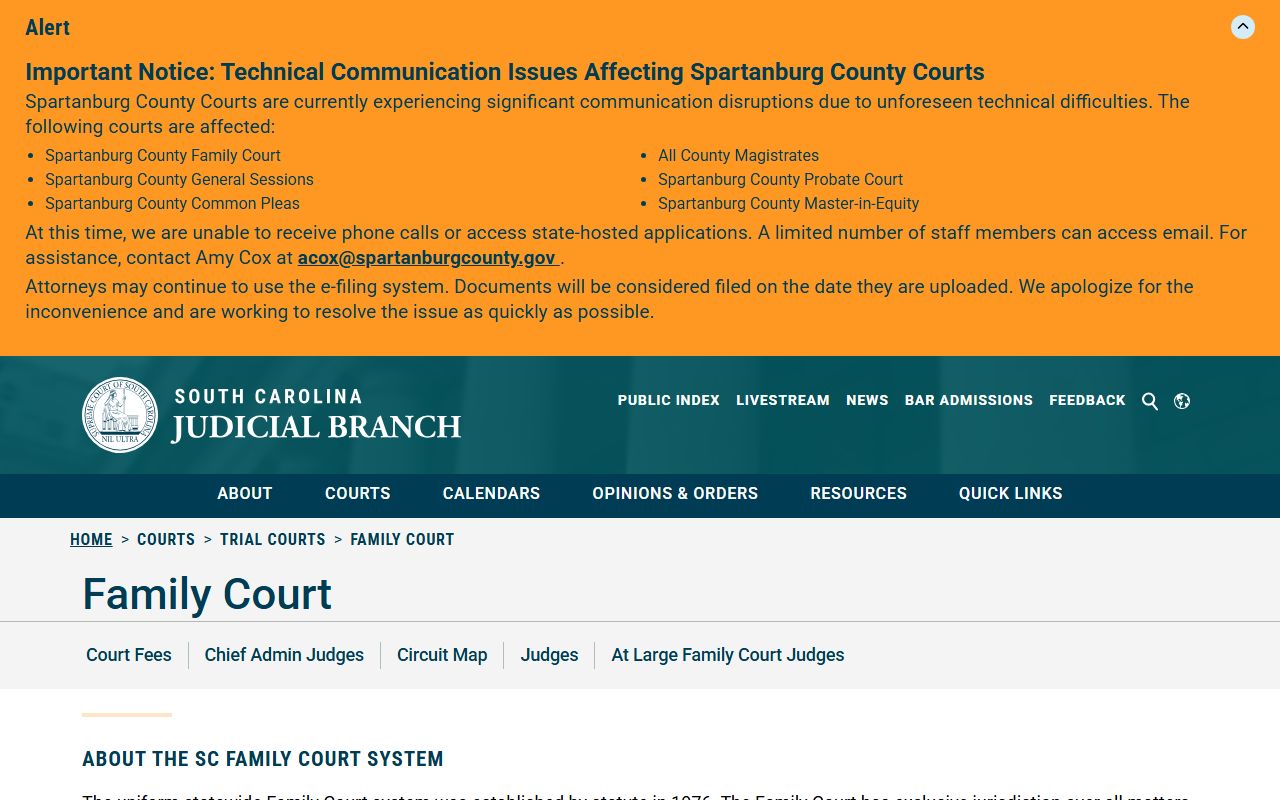 Anderson County court dockets Family Court overview