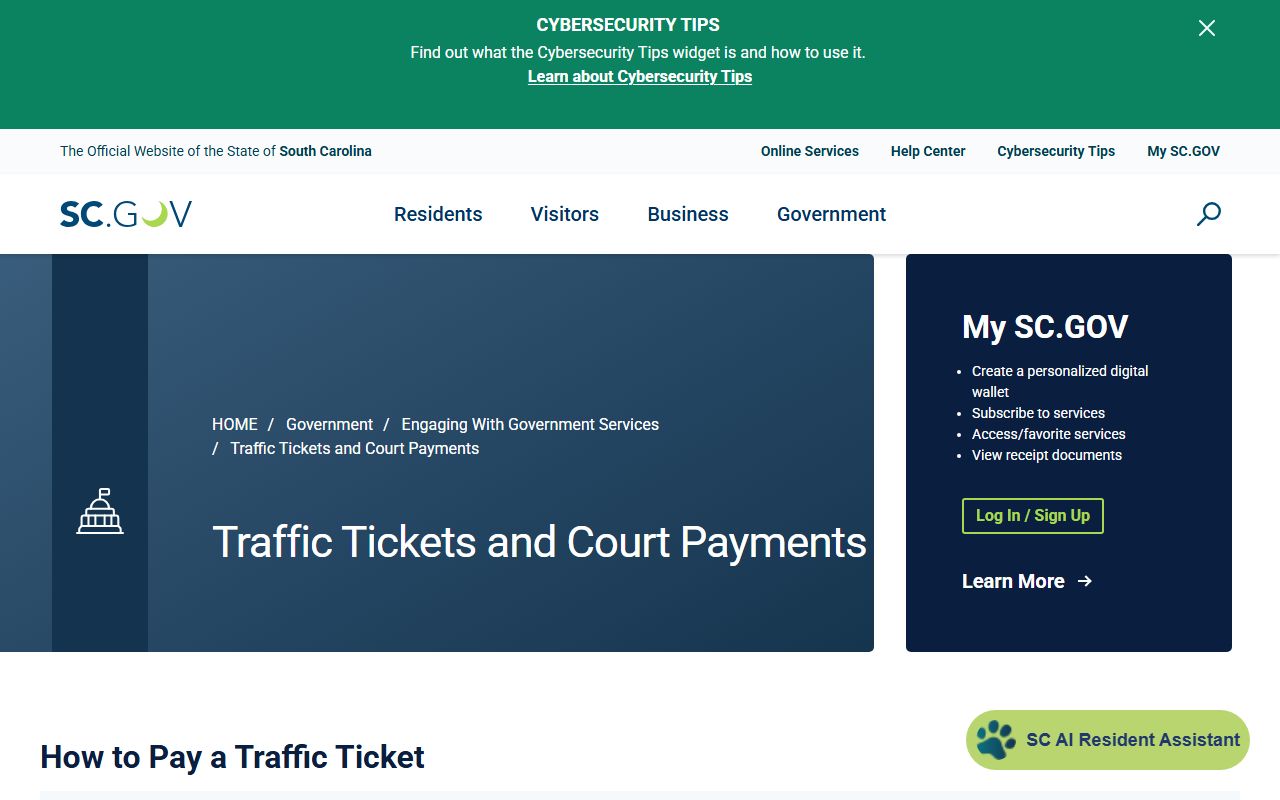 Anderson County traffic court records SC.gov court payment workflow